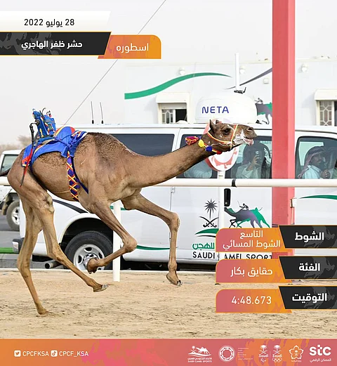 هجن "حشر الهاجري" تحصد المراكز الأولى في مهرجان ولي العهد
