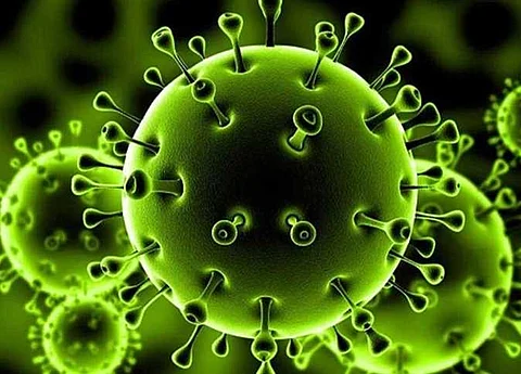 سيناريوهان يتوقع بهما طبيب ما تؤول إليه الجائحة بعد 365 يومًا