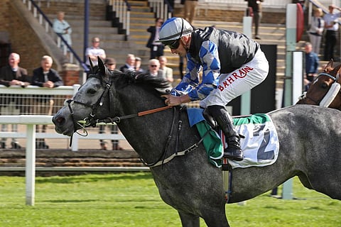 الجواد ريبال عذبه يحقق جائزة أفضل مظهر حصان في البادوك