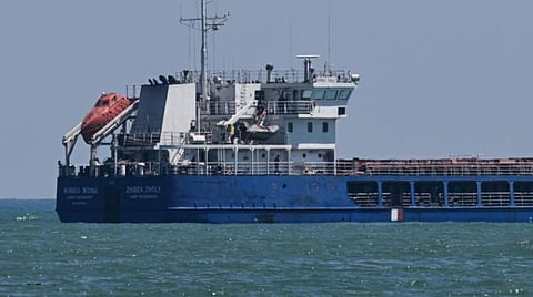 السفينة المحملة بحبوب أوكرانية "مسروقة" تغادر تركيا.. وكييف: وضع غير مقبول