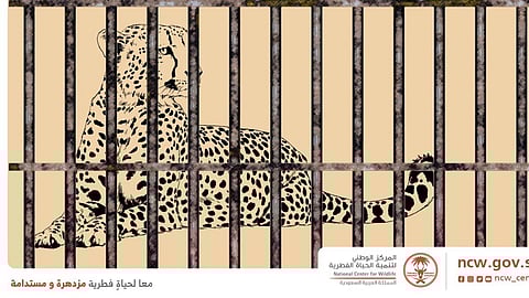 الحياة الفطرية: نصف المخالفات المرصودة تخص الاتجار بـ"الجوارح والظباء"