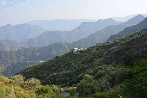 جبال عسير الخضراء