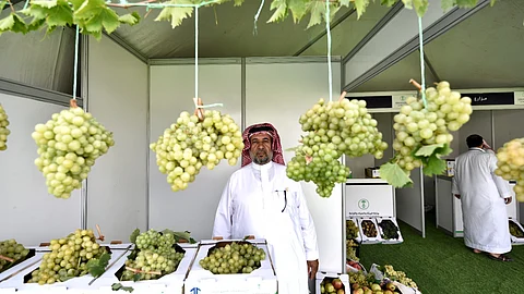 اختتام مهرجان العنب والفواكه الموسمية الثالث بـ"ماوين عسير"