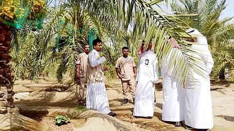 جانب من الجولة الإرشادية لتعريف المزارعين بتطبيق "مرشدك الزراعي"