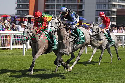 الفرس إكليل عذبة تحقق الانتصار