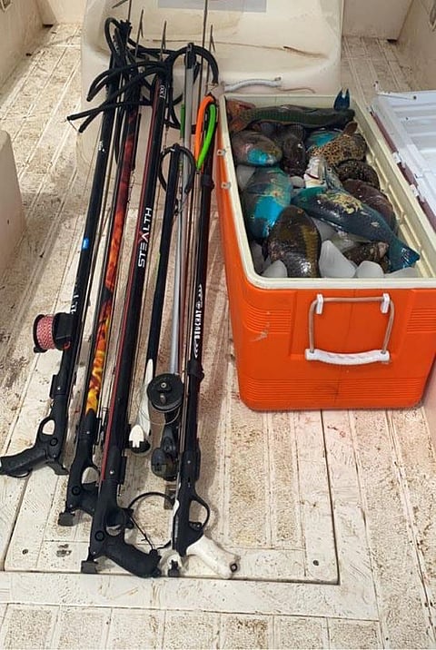 ضبط 6 متنزهين خالفوا أنظمة الصيد البحري