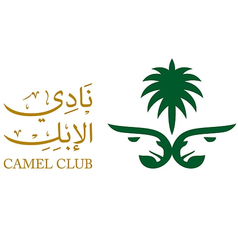 نادي الإبل يحدّد مجالات شوط "البداوة" في مهرجان الملك عبدالعزيز
