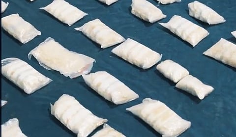 فيديو.. "الجمارك" تُحبط 4 محاولات لتهريب أكثر من 750 ألف حبة كبتاجون