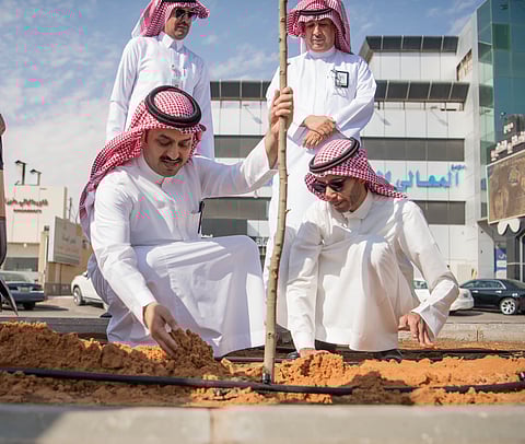بزراعة أكثر من 3200 شجرة.. "بلدية عنيزة" تتفاعل مع مبادرة "السعودية الخضراء"