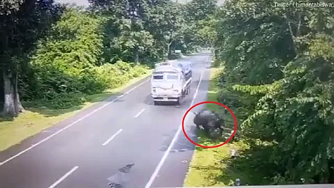 فيديو تصادم مرعب بين شاحنة وحيوان وحيد القرن.. لماذا أثار الجدل عبر الإنترنت؟