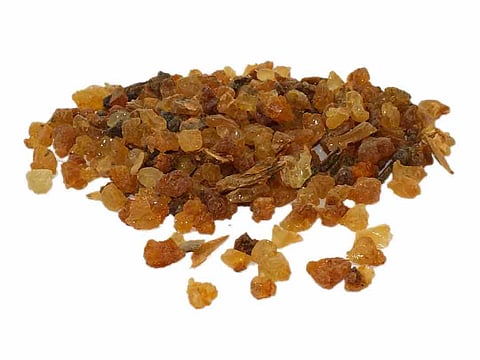 هيئة الغذاء والدواء توضح معايير ومحددات استخدام "المُرة"