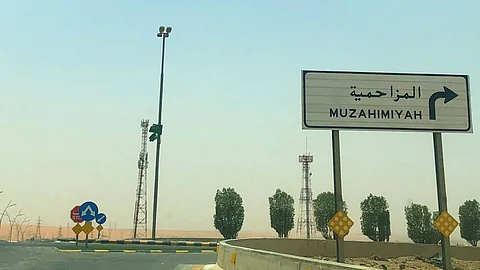 لأول مرة بالمنطقة.. تنظيم مهرجان الورد والتين بالمزاحمية بمشاركة ٥٠ مزارعًا