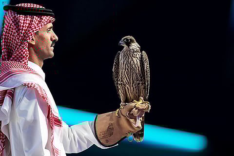 بـ263 ألف ريال.. "صقر طريف" الأغلى في مزاد نادي الصقور السعودي
