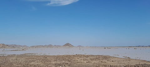 شاهد.. أمطار المدينة المنوّرة تحوّل "الوادي المبارك" إلى بحيرة
