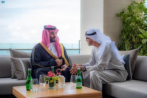 ولي العهد يلتقي رئيس الإمارات
