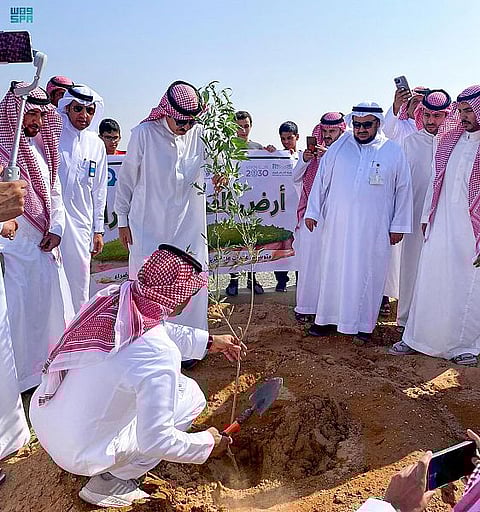 إطلاق المرحلة العاشرة من حملة "أرض القصيم خضراء" بالبدائع