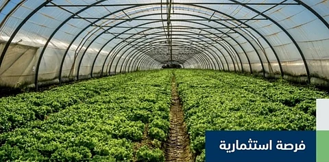 "البيئة" تعلن فرصة استثمارية في البيوت المحمية ومركز الخدمات التسويقية بخليص