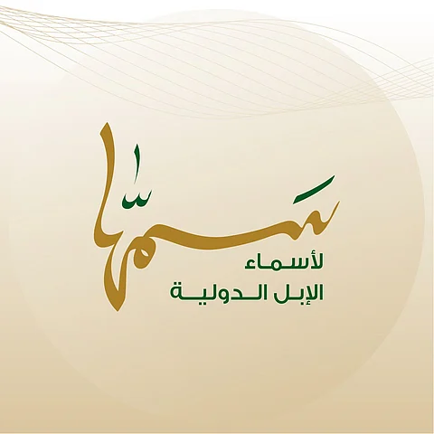 "سمّها".. منصّة لاختيار أسماء الإبل بصبغة دولية.. وهذه هي الشروط