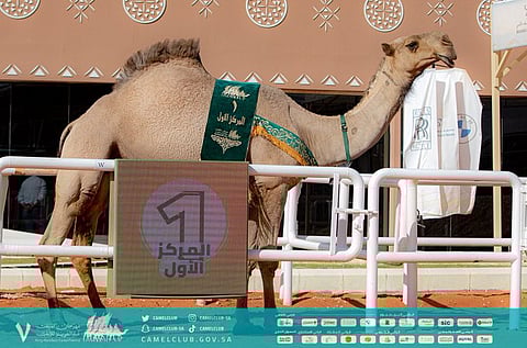 "معالي" تحصد صدارة أشواط الصفر لثلاثة أعوام متتالية