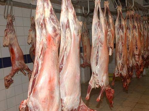 بعد مبادرة "أمانة مكة".. مطالبات في جازان بإلزام المطاعم ببيع اللحوم بـ"الوزن"