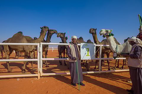 "الزايديات" تتصدر شوط منافسات شلفا ولي العهد للون المجاهيم