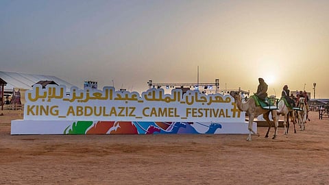 "مهرجان الإبل": مستعدون للتقلبات الجوية التي تشهدها الصياهد