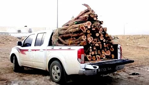 "أمن الطرق" تضبط 4 مخالفين بحوزتهم حطب محلي معروض للبيع في عدة مناطق