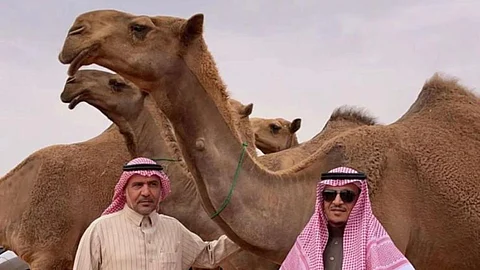 "منعتات" تُحقق لقب شوط البداوة للون الشعل بمهرجان المؤسس للإبل