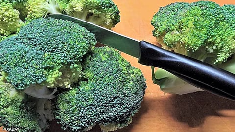 "أطعمة ملوثة بكورونا".. تحذير خاص من البروكلي والتوت وهذا ما عليك فعله