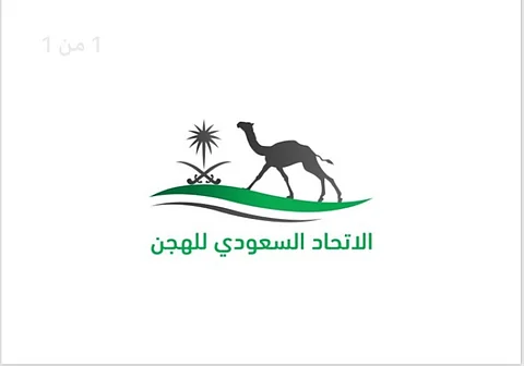 "اتحاد الهجن" يعلن عن بدء التسجيل في دوري هجان 2023 بنسخته الثانية