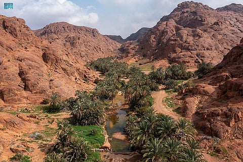 جمال الطبيعة وتنوع التضاريس.. دَفعة ستترك بصمتها على أبطال رالي حائل تويوتا الدولي 2023