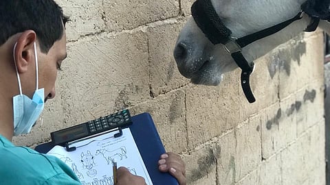 "مركز الملك عبدالعزيز للخيل"ينجز 193 معاملة في عدد من المحافظات