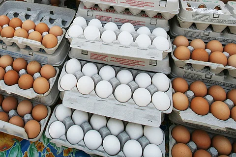 الحرب الأوكرانية وإنفلونزا الطيور وغلاء الأعلاف أبرز الأسباب.. قفزة قياسية في أسعار البيض عالمياً