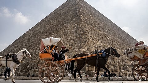 "اللحوم داخلها لا تتعفن والنبات ينمو أسرع".. حقيقة المعلومات "المحيرة" عن أهرامات مصر