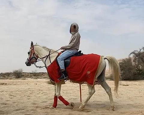 شاهد.. رحلة مسيرة الأجداد لأبناء جمعية "كيان" في محمية "خالد الملكية"