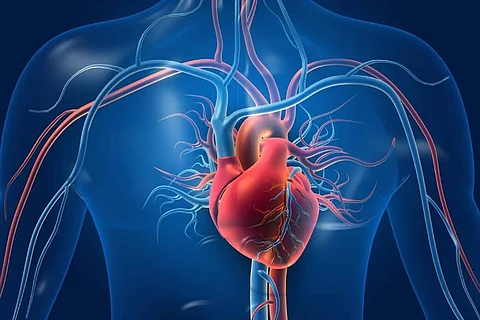 علاقة البيض وصحة القلب.. دراسة حديثة تكشف عن مفاجأة غير متوقعة