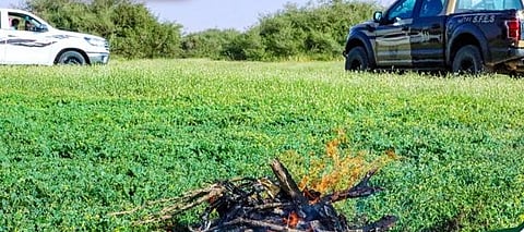 "الأمن البيئي" يضبط 21 مخالفًا لنظام البيئة أشعلوا النار في مناطق محمية