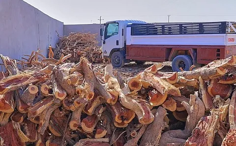 الشرقية.. ضبط مخالف لنظام البيئة بحوزته حطب محلي معروض للبيع