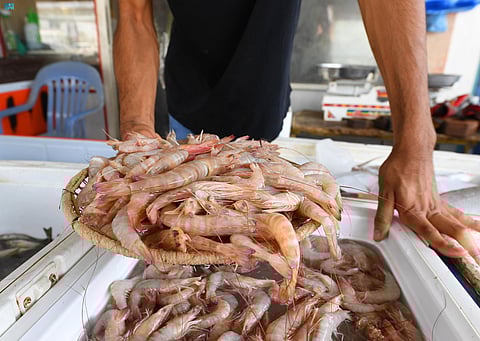 الشرقية تشهد اختتام موسم الروبيان