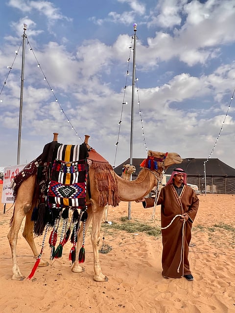 بالصور.. الإبل الأصايل علامة مميزة خلال فعاليات مزاد الجوف