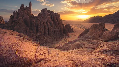 المملكة.. 7 أماكن مقترحة للمكشات يوم الجمعة