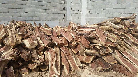 ضبط 3 مواطنين في الشرقية ومقيم بالمدينة المنورة لحيازة حطب محلي بغرض البيع