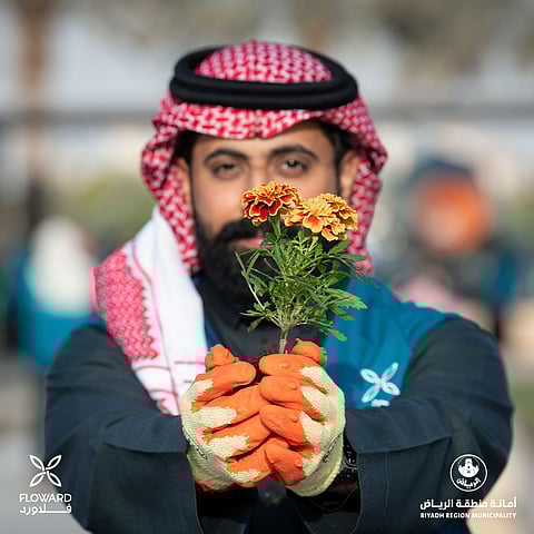 "عطاؤها من جذورها".. مبادرة "فلاورد" في يوم التأسيس السعودي