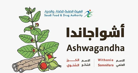 "أشواجاندا".. تعرَّف على فوائدها في الطب البديل ومحاذير الإفراط في استخدامها