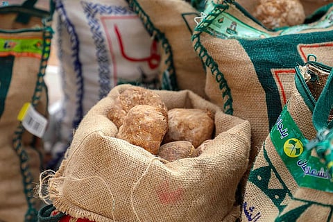 أسعار متفاوتة.. "فقع الزبيدي والكمأ" يشعلان الحركة الشرائية بعرعر