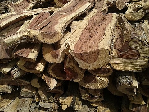 "أمن الطرق" بالقصيم تضبط مقيمًا بحوزته حطب محلي معروض للبيع