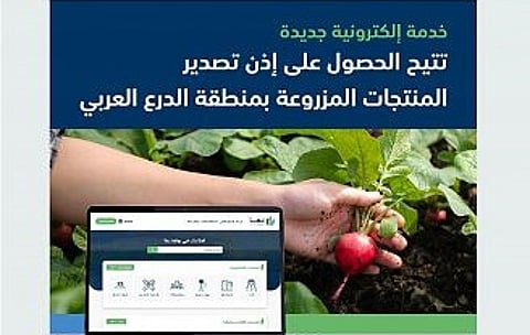 "البيئة" تتيح الحصولَ على رخصة تصدير للمنتجات المزروعة بمنطقة الدرع العربي