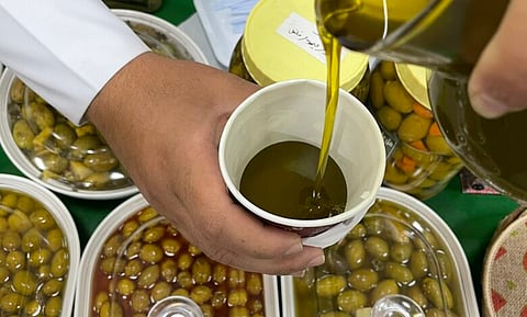 كبسة وجريش ومرقوق.. مشاركات الأسر المنتجة تجذب زوار مهرجان "زيتون الجوف"