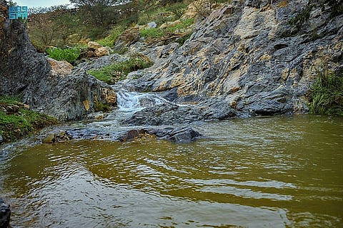 موسيقى الطبيعة تعزف ألحانها.. هنا منطقة تختال بجمالها في أجواء خالية من التكلف