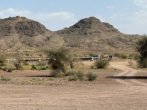 "سبق" ترصد.. "خلايا العسل" تتسبب في تشوُّه بصري بالمدينة المنورة.. فمَن المسؤول؟